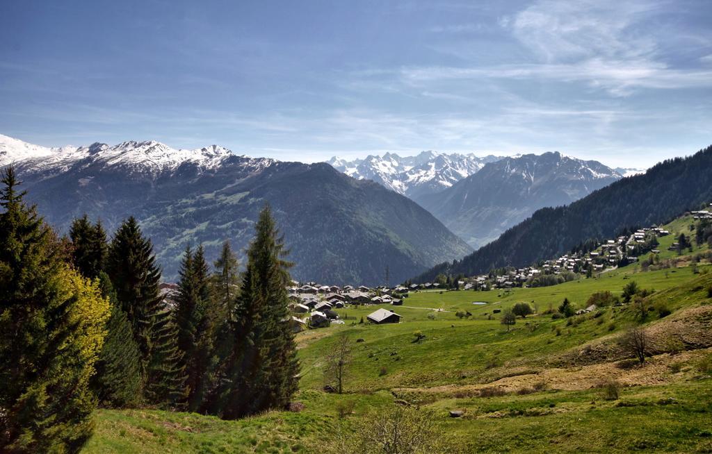 Fouquet 1Er Villa Verbier Bilik gambar